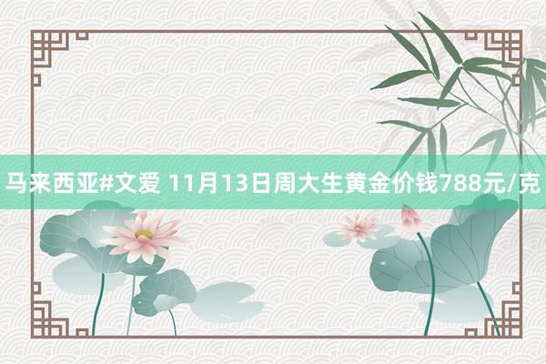 马来西亚#文爱 11月13日周大生黄金价钱788元/克