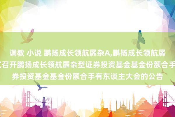 调教 小说 鹏扬成长领航羼杂A,鹏扬成长领航羼杂C: 对于以通信方式召开鹏扬成长领航羼杂型证券投资基金基金份额合手有东谈主大会的公告