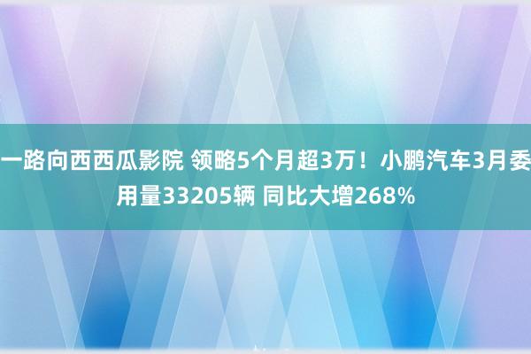一路向西西瓜影院 领略5个月超3万！小鹏汽车3月委用量33205辆 同比大增268%