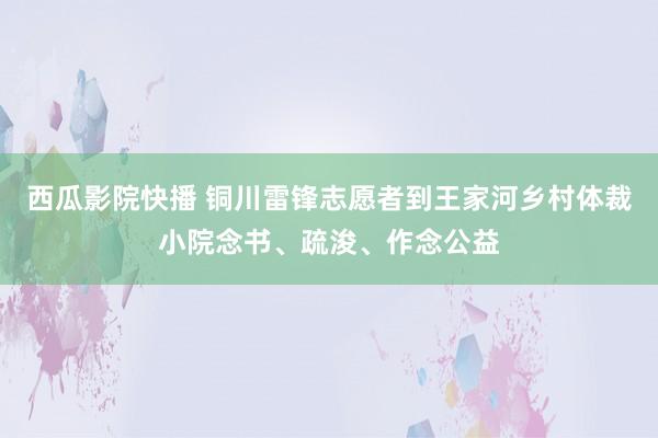 西瓜影院快播 铜川雷锋志愿者到王家河乡村体裁小院念书、疏浚、作念公益