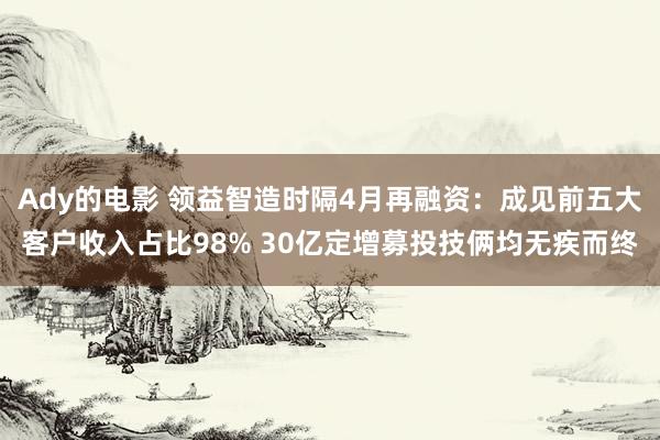 Ady的电影 领益智造时隔4月再融资：成见前五大客户收入占比98% 30亿定增募投技俩均无疾而终