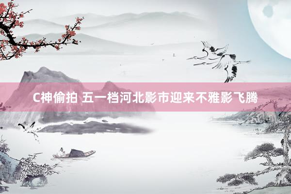 C神偷拍 五一档河北影市迎来不雅影飞腾