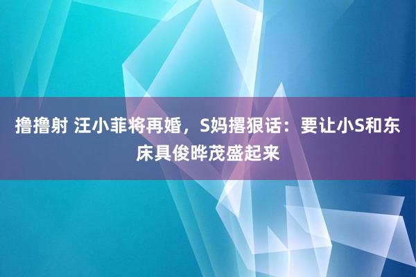 撸撸射 汪小菲将再婚，S妈撂狠话：要让小S和东床具俊晔茂盛起来
