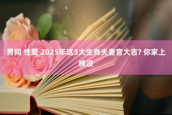 男同 性愛 2025年这3大生肖夫妻宫大吉? 你家上榜没